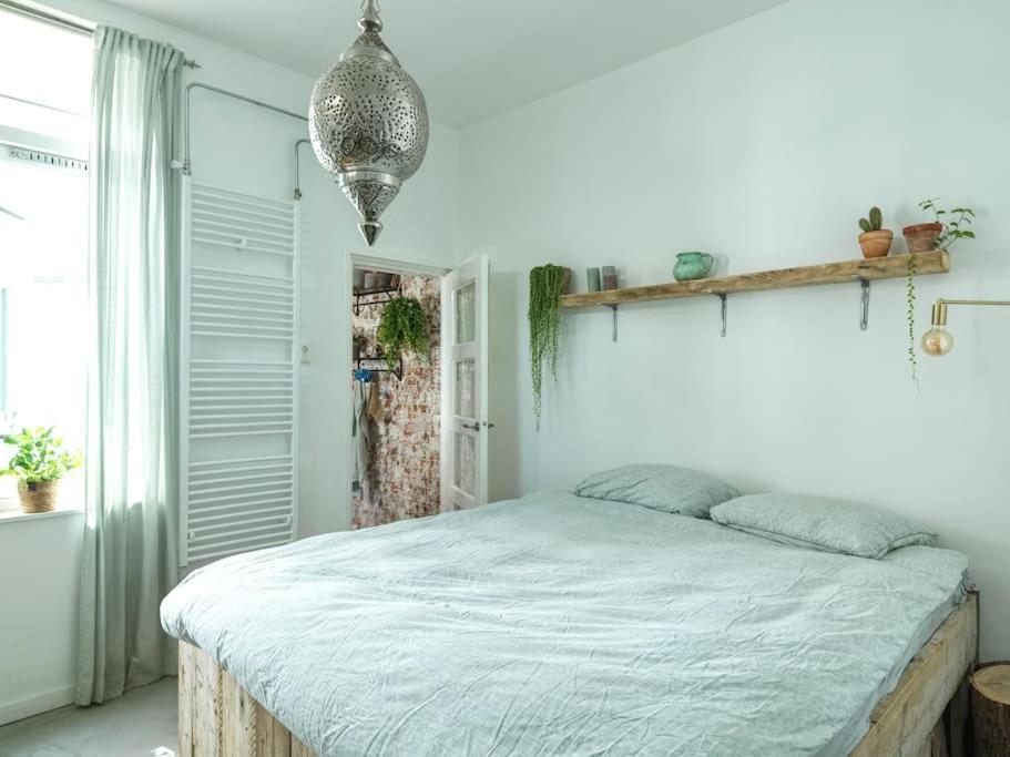 Beachhome Scheveningen Appartement Den Haag